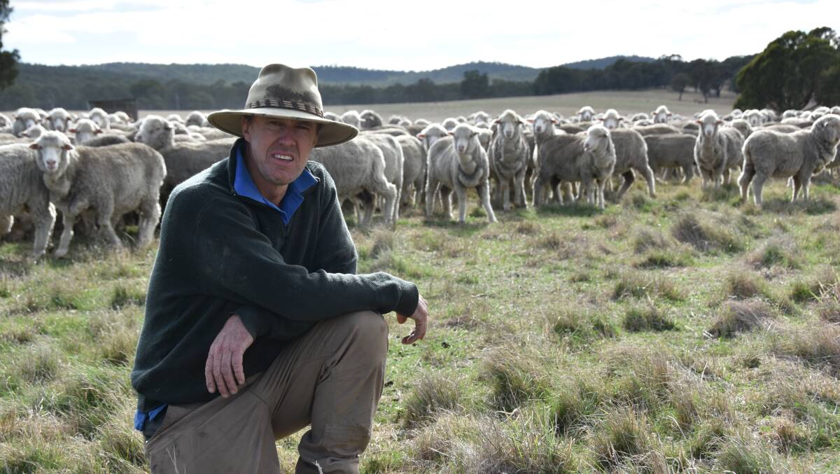 ALL GOOD: Despite recent wool market nerves due to COVID outbreaks in China, Waterloo woolgrower Rod McErvale says at a local level, it couldn't be better. 