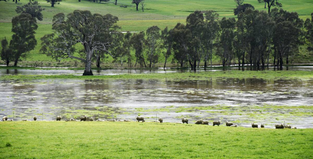 The Wimmera River near Elmhurst on Friday after a big storm. Picture by Chris McLennan.