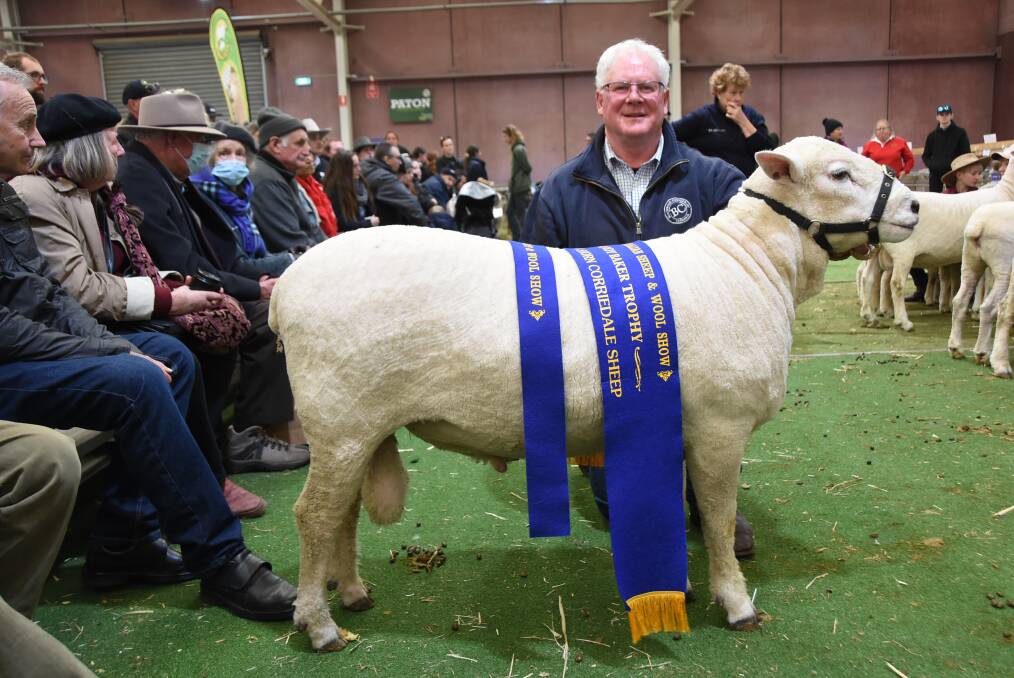  SHORN GOOD SHEEP: Peter Blackwood, Blackwood Corriedale stud, Evandale, Tasmania, with his grand champion of the shorn sheep class of Corriedales 