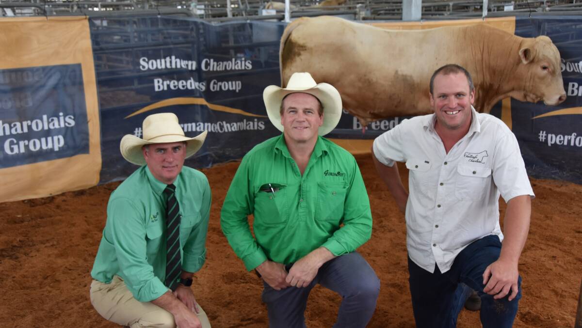 TOP PRICE: Nutrien stud stock agent Peter Godbolt, Roderick Binny, Glenlea Beef, Coffs Harbour, who bought the top-priced bull, Challambi Rover, for $24,000, and vendor Nigel Spink, Challambi Charolais, Tooma, NSW.