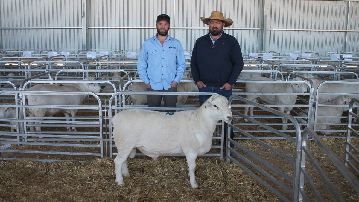 Gamadale stud co-principal Ben Rowney, Lascelles and Dan Lustenberger, Bungarley, Tarcutta, NSW. Mr Lustenberger bought the top priced lot at Gamadale's annual sale - Lot 32 Gamadale 220133 - for $15,000. Picture by Philippe Perez