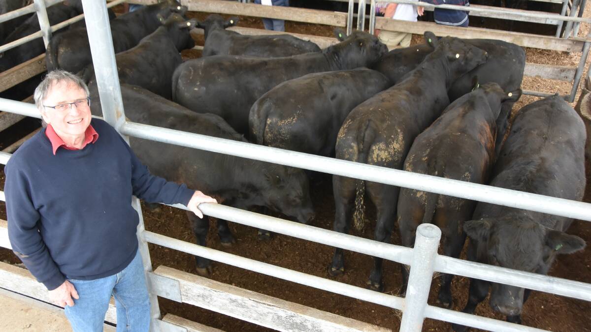 Rod Kemp, Forrest sold 10 Angus steers, 444kg, sold for $2060 or 463c/kg at the Birregurra Premier Weaner Sale in Colac. Picture by Philippe Perez.