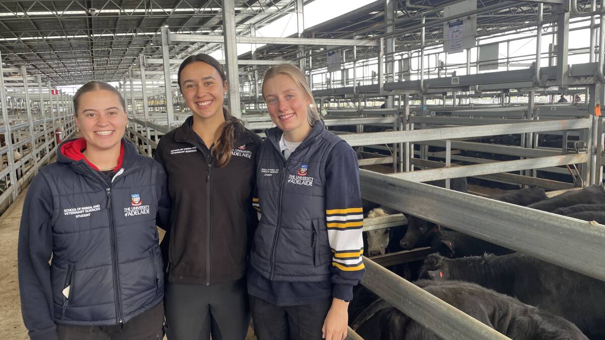 Veterinary students Chantel Stavrides, Adelaide, SA, Lucy Fielke, Hahndorf, SA, and Maddie Dodds, Ballarat. The three students are currently undertaking a placement at a local farm in Navigators. Picture by Philippe Perez