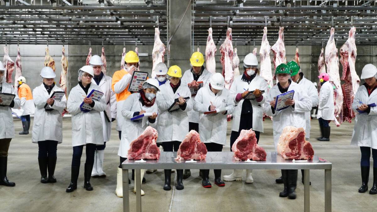 COMPETITION: University meat graders in action.