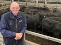 TOP PRICE: David Wells, Wells Agriculture, Elaine, sold 61 Angus steers in total, including this pen of 20 steers, 318kg, for $2200 or 691c/kg.