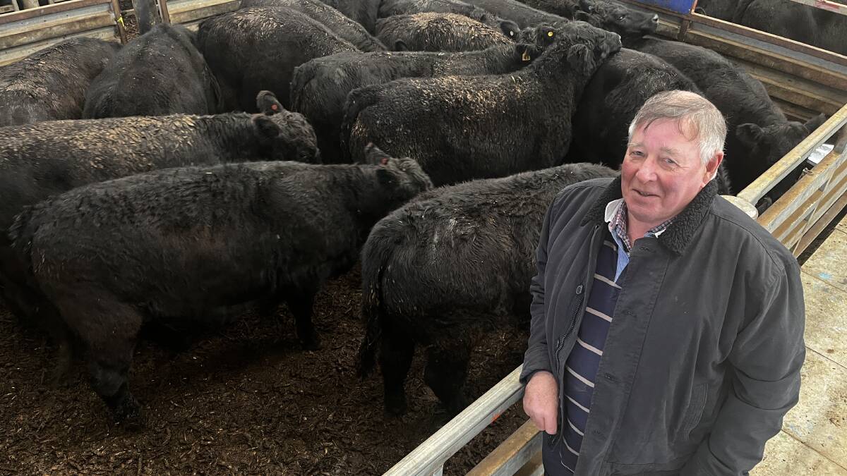 SOLD: Bruce McIntosh, Bahm Farms, Horsham, has traditionally sold his western district cattle at Pakenham's store cattle sale.