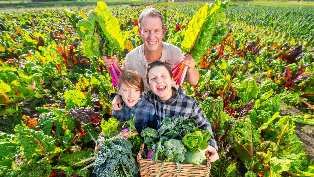 LETTUCE CELEBRATE: Victorian and NSW vegetable grower Wayne Shields with sons Oscar, 10, and Flynn,12, were recipients of the grant.