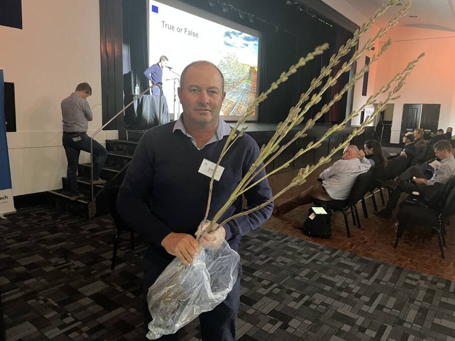 Andrew McDonald, technical operations manager, AgriVentis Technologies, with a non-shattering sesame seed variety. Picture by Simon Chamberlain