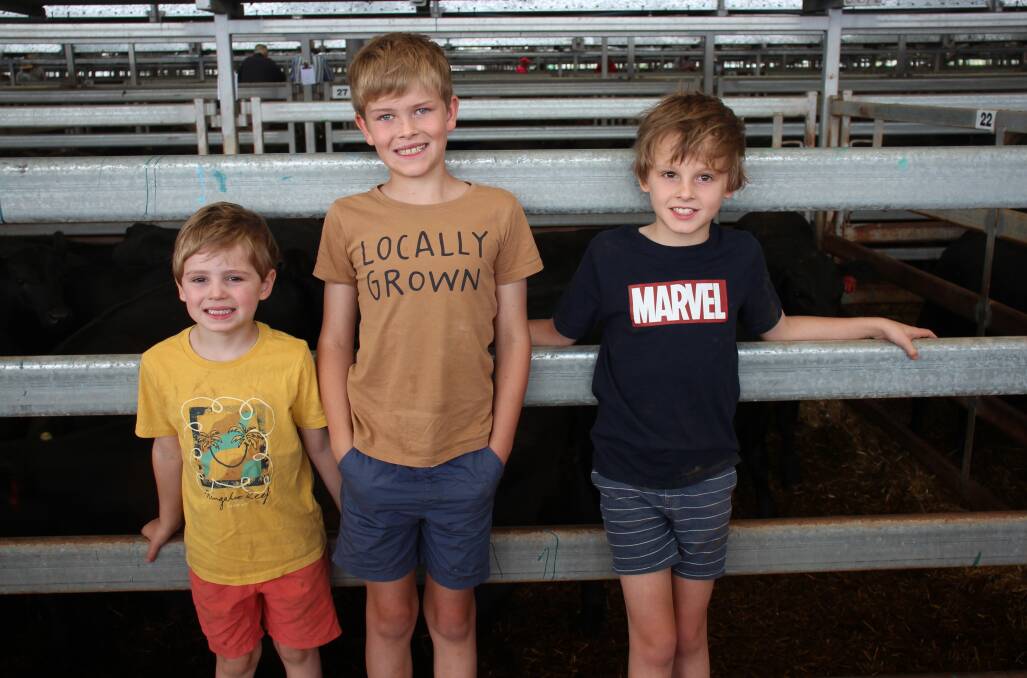 Photos from day two of the Wodonga weaner sales