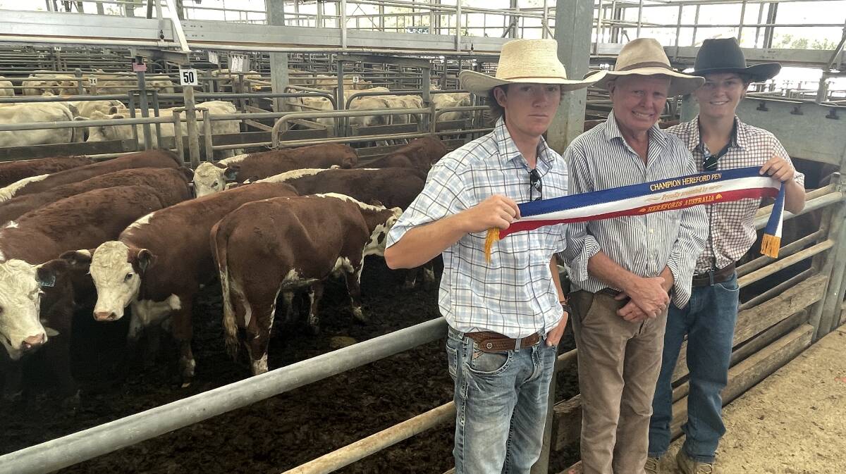 Tom, Tony and Ben Reardon, Brooklyn Pastoral Co, Mansfield, Vic, were awarded the best presented pen of Herefords for their 32 Hereford steers, 358kg, that sold for $1120 a head at Wangaratta on Thursday. Photo by Alexandra Bernard.