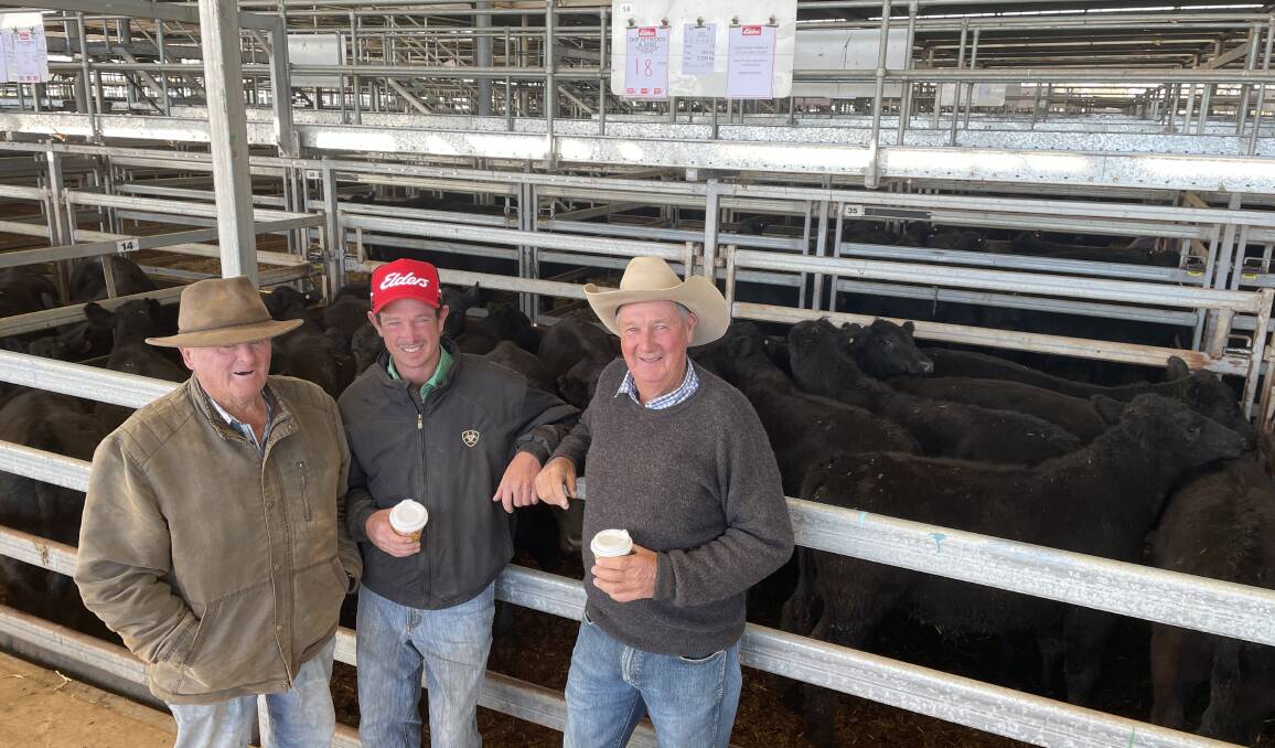 Pat Gorman, Lachie and Dennis Heywood with the Heywood pen of 18 Angus steers, 406kg, sold for $1720. Picture by Alexandra Bernard. 