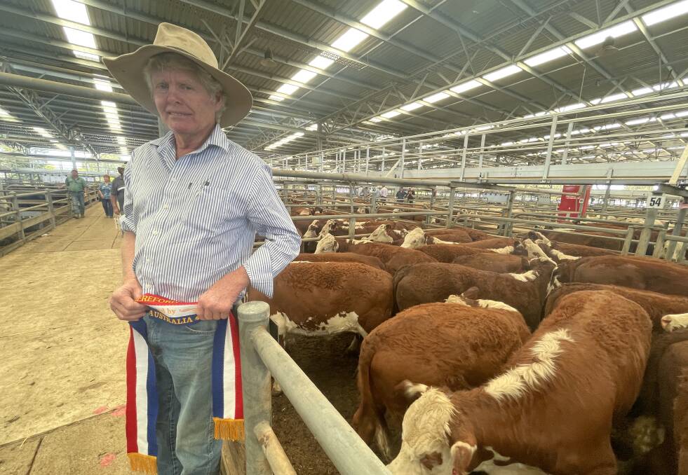 Tony Reardon, Brooklyn Pastoral Co, Mansfield, was awarded the champion pen of Herefords for his 32 Hereford steers, 352kg, sold for $1710. Photo: Alexandra Bernard