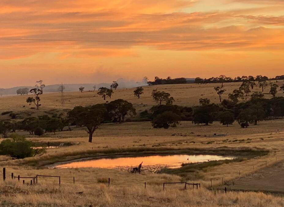 Thursday's dawn fire at Blampied. Picture by Brooklands Free Range Farms