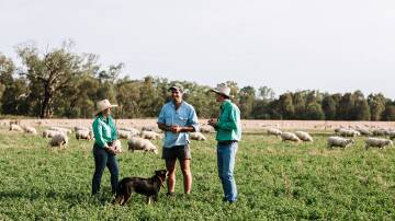 Sam Callanan from Nutrien Ag Solutions in Deniliquin says Waratah has spent more than 100 years developing fencing post technology to suit Australian conditions. Picture supplied