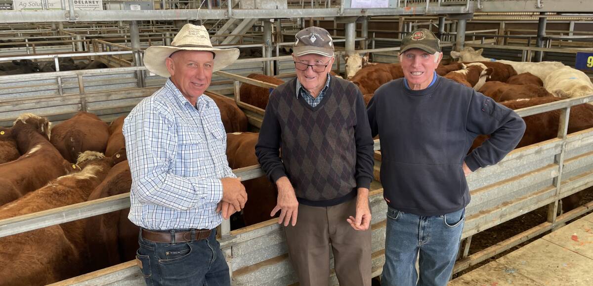 Mick Turra, Buchan, Jack Turra, Trafalgar, and Greg Ireland, Trafalgar East, at Pakenham's Victorian Livestock Exchange. Mick Turra bought about 30 cattle at the sale. Picture by Rachel Simmonds