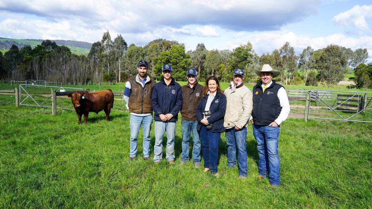 Red Angus top buyer Simon Colse, Kurra-Wirra, Oscar, Monty, Olivia and Tom Lawson, Paringa Livestock Genetics, and Ray White GTSM auctioneer James Brown. Picture by Rachel Simmonds
