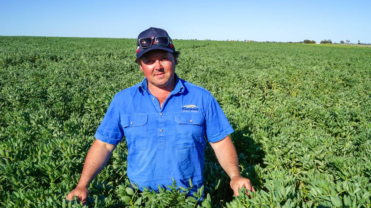 Sam Eastwood, Eastwood Family Farms, Kaniva, says they expect to start harvesting two-to-three weeks earlier than their normal. Picture by Rachel Simmonds