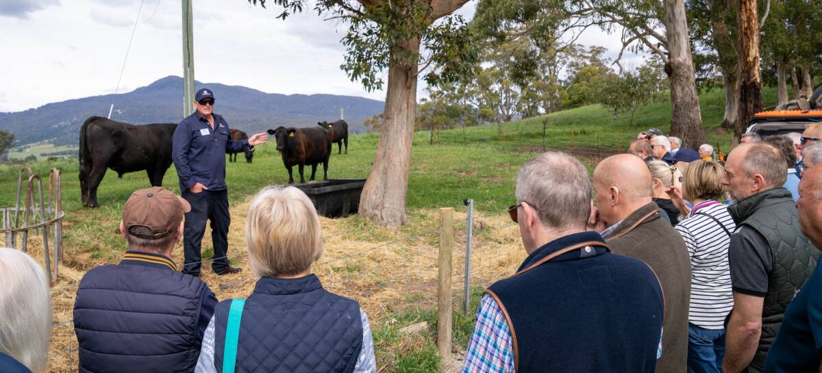 Martindale Angus stud principal Troy Martin, Powranna, Tas, showed United Kingdom farmers the lay of the land. Picture supplied