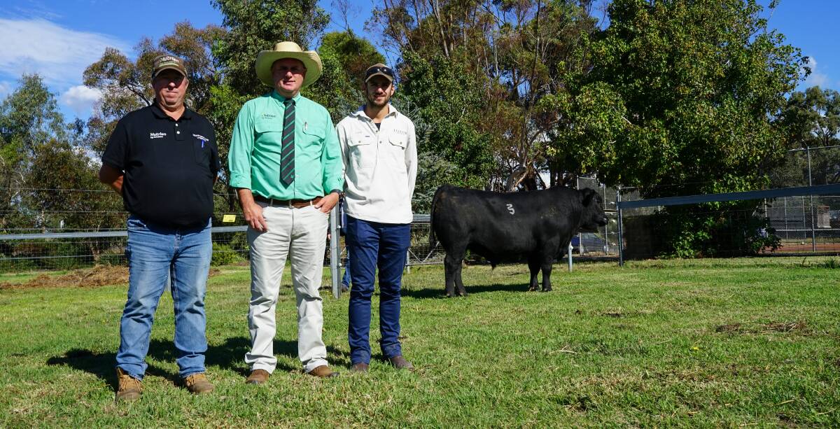 Brian McCormack, Nutrien South Gippsland, Peter Godbolt, Nutrien Studstock, and Leawood Angus stud co-principal Luke Stuckey with the top-priced bull, Lot 3. Picture by Rachel Simmonds