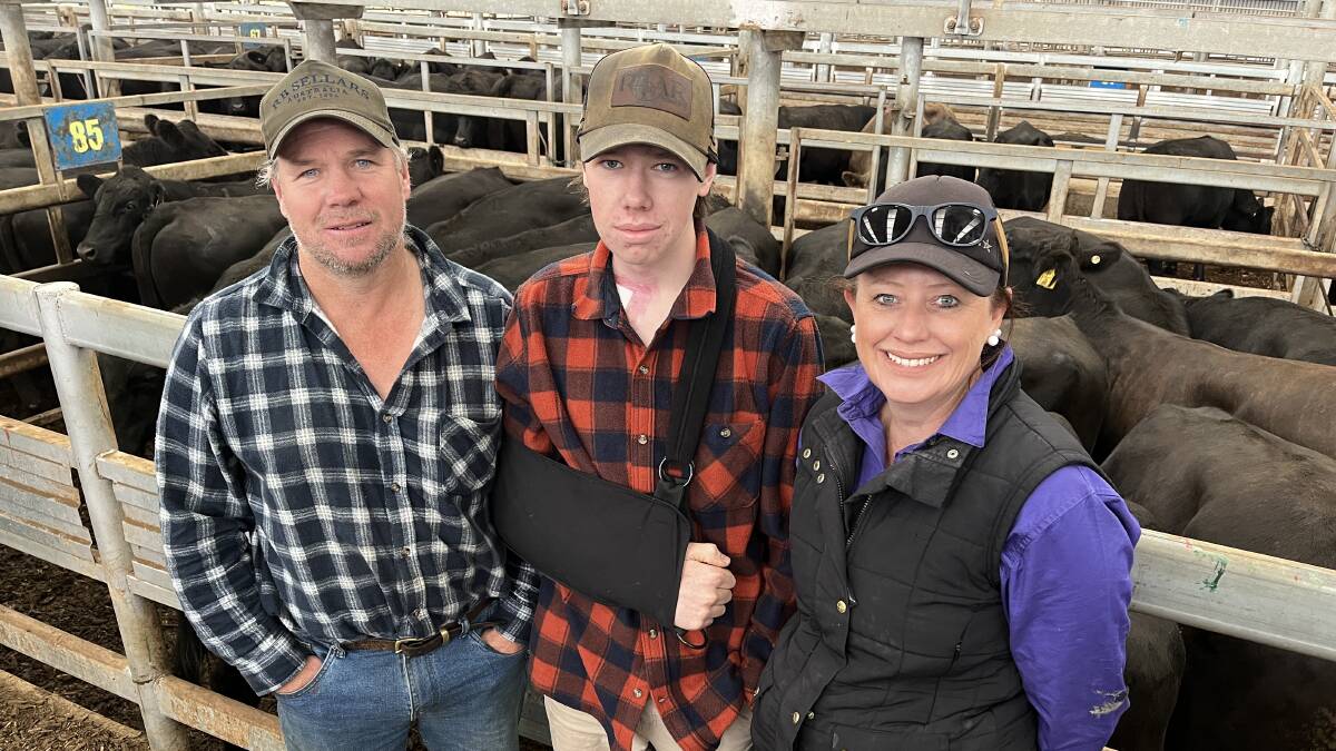 David, Harvey and Catherine Webb, Arawata, sold 33 rising two-year-old Angus steers at the VLE. Picture by Bryce Eishold