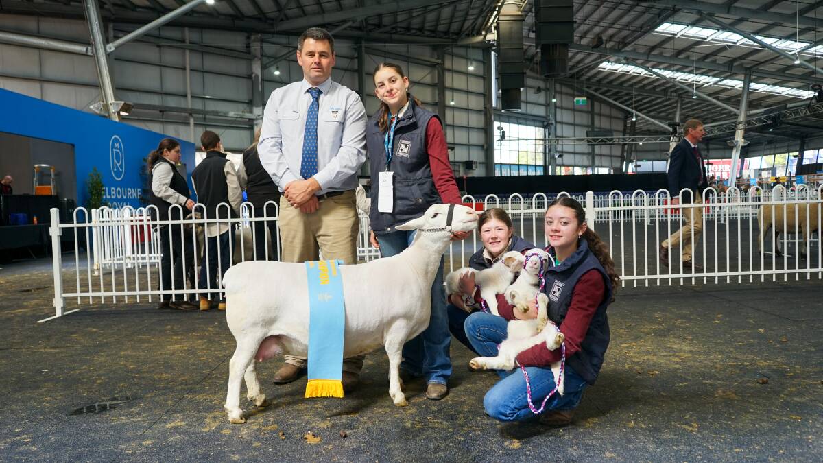 White Dorper judge Nick Lawrence, Chrissy Murray, Molly Edmonds and Izzy Murray with the White Dorper supreme champion ewe. Picture by Rachel Simmonds