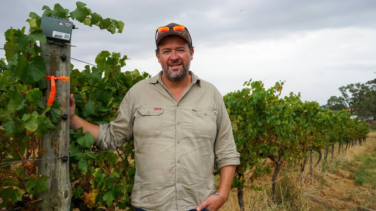 Fowles Winery owner Matt Fowles is participating in an on-farm study to discover microbats' potential for pest control. Picture by Rachel Simmonds