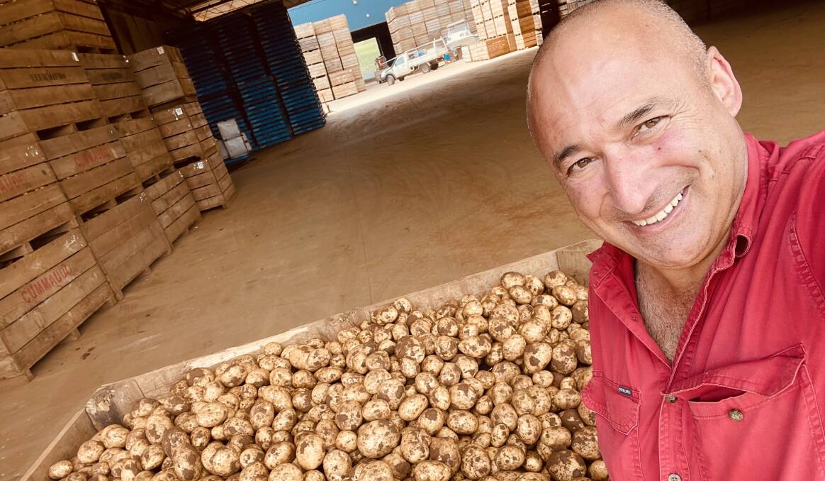 Sam Cummaudo, Cummaudo Farms, Mirboo North, has started this year's potato harvest after receiving 74 millimetres of rain. Picture supplied 