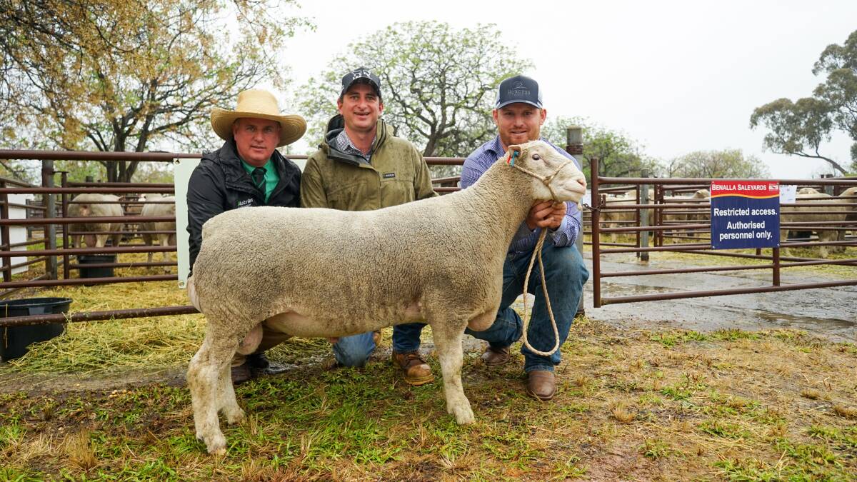 Nutrien studstock manager Peter Godbolt, Ivadene Poll Dorset stud principal Lachie Kelly and top buyer Joe Scott, Valley Vista, Coolac, with Lot 3. Picture by Rachel Simmonds