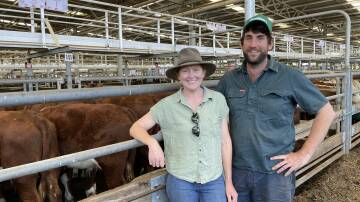 Bridget Doyle and Paddy Ryan, Rua Pastoral Co, Upper Lurg, sold 30 Hereford weaner steers between 250 to 280 kilograms.
