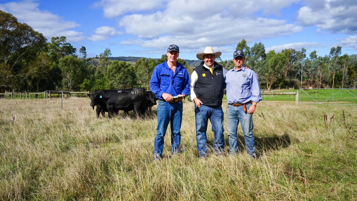 Banongill South Pastoral Co livestock manager Sam Pope, Vite Vite, Ray White GTSM auctioneer James Brown and Paringa Livestock stud co-principal Tom Lawson, Murrindindi, with one of Mr Pope's four purchases. Picture by Rachel Simmonds