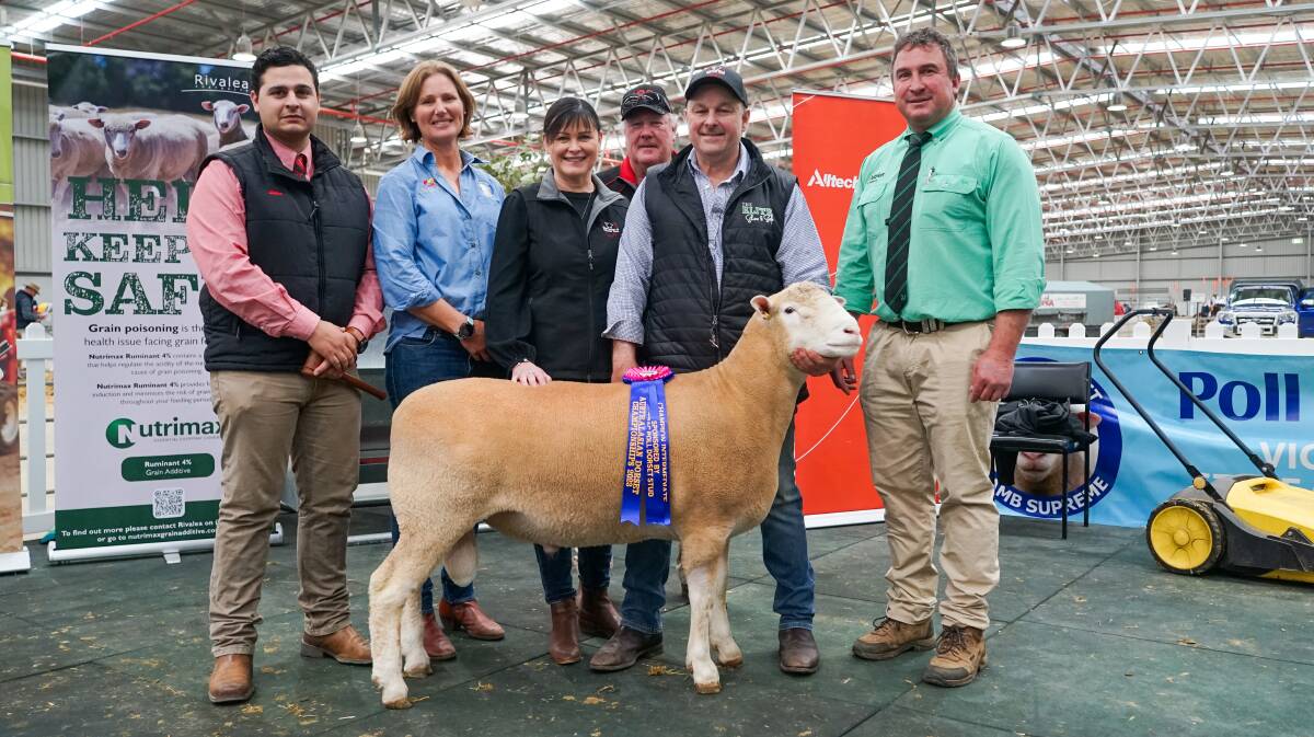 Ryan Bajada, Elders, Isabele Roberts, Ridgehaven Poll Dorset stud, Shannon Day, Sunnybanks Poll Dorset and White Suffolk stud, Laurie Fairclough, Stockdale Poll Dorset stud, Paul Day, Sunnybanks Poll Dorset and White Suffolk stud, and Tim Woodham, Nutrien. Picture by Rachel Simmonds