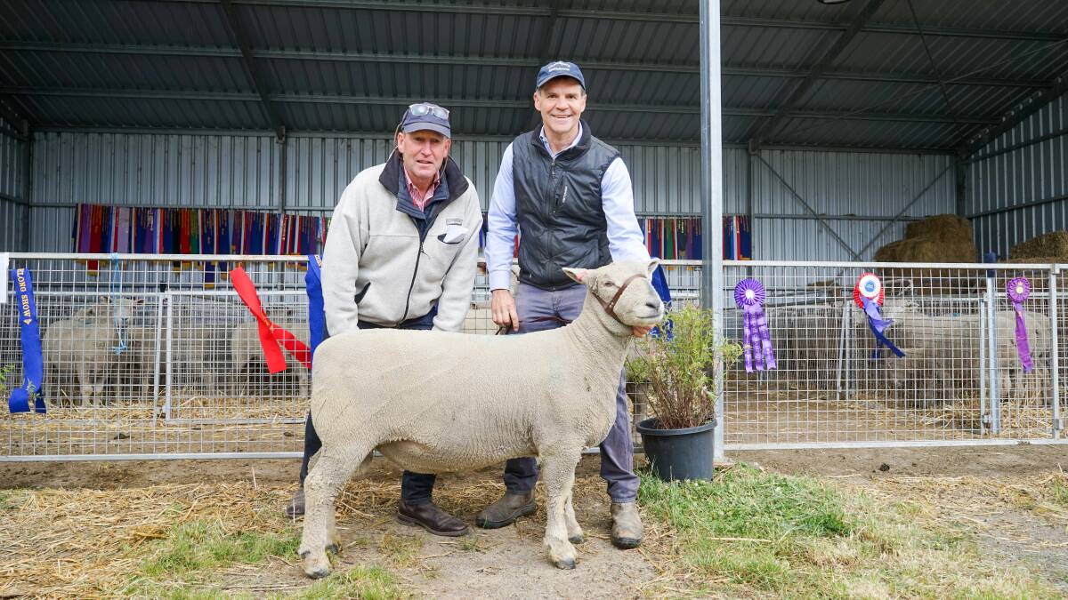 Second top-priced buyer Tim Fincham and Chandpara Southdown stud principal Andrew Sellars-Jones with Mr Fincham's purchase, Lot 28. Picture by Rachel Simmonds