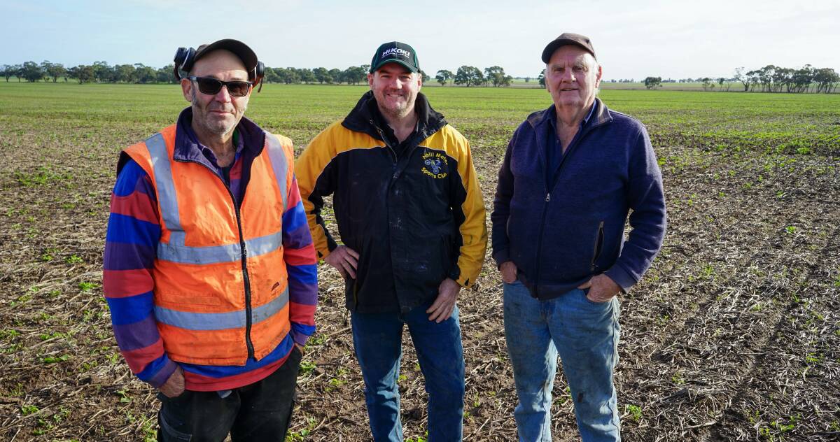 Marty Colbert and Peter and Des Clarke are battling a slug population for the first time after noticing damage in a satellite image. Picture by Rachel Simmonds