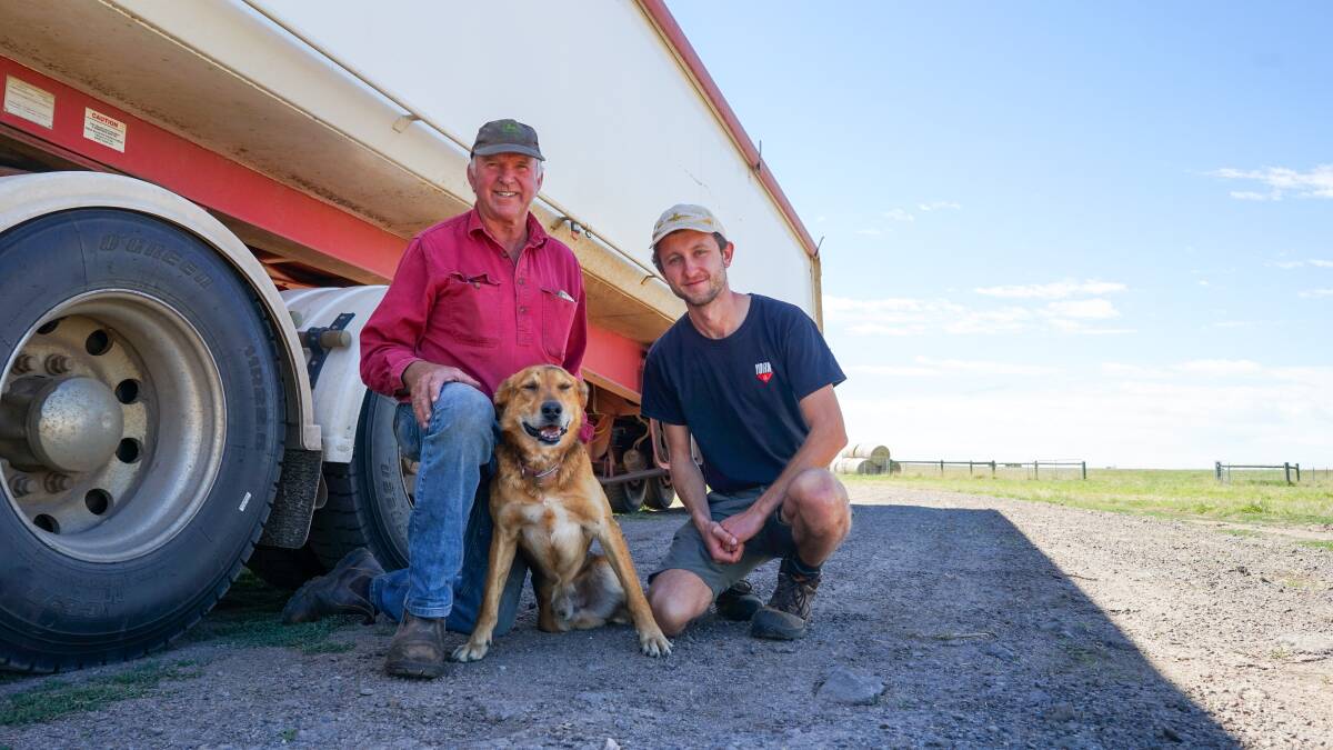 David Jackson with Max, Skipton, and a backpacker Theo Lafrogne, Bar le Duc, France, have about one week left of their harvest program. Picture by Rachel Simmonds