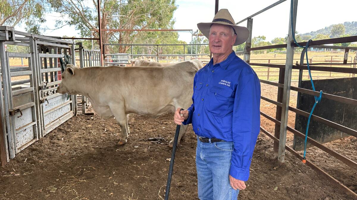 Shiralee Charolais stud principal Peter Wallis, Gundowring, says he will be joining the Stock & Land Beef Week as a vendor for the first time. Picture by Philippe Perez 
