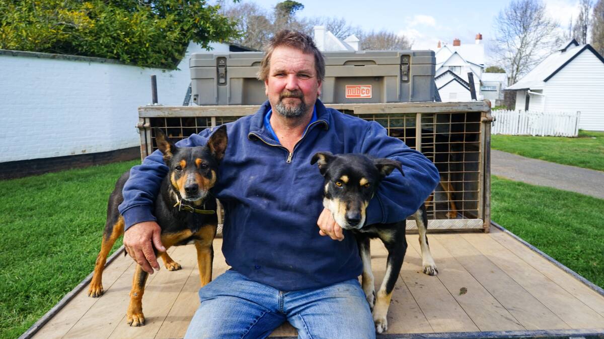 Bamma Kelpies stud principal Adrian Carpenter, Cressy, Tas, hopes to bring a state utility championship to Tasmania. Picture by Rachel Simmonds