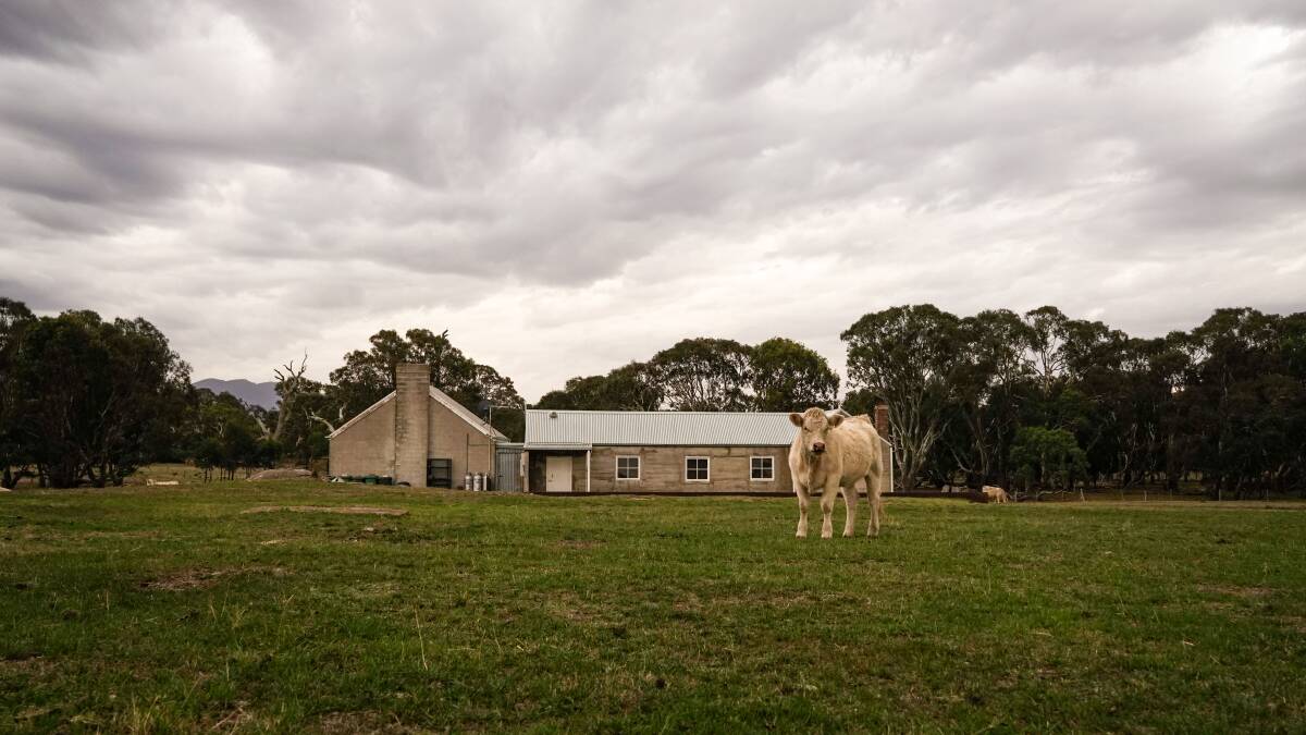 Mount William Station has preserved and renovated its shearers' quarters for group accommodation. Picture by Rachel Simmonds