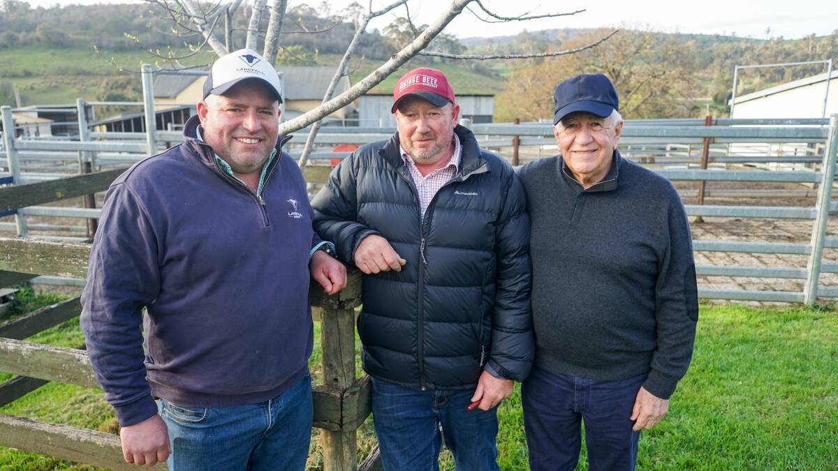 Landfall Angus stud principal Ed Archer, Markana Grazing manager Darren Grace, and Markana Grazing owner George Adams at Landfall's 20th spring sale. Picture by Rachel Simmonds