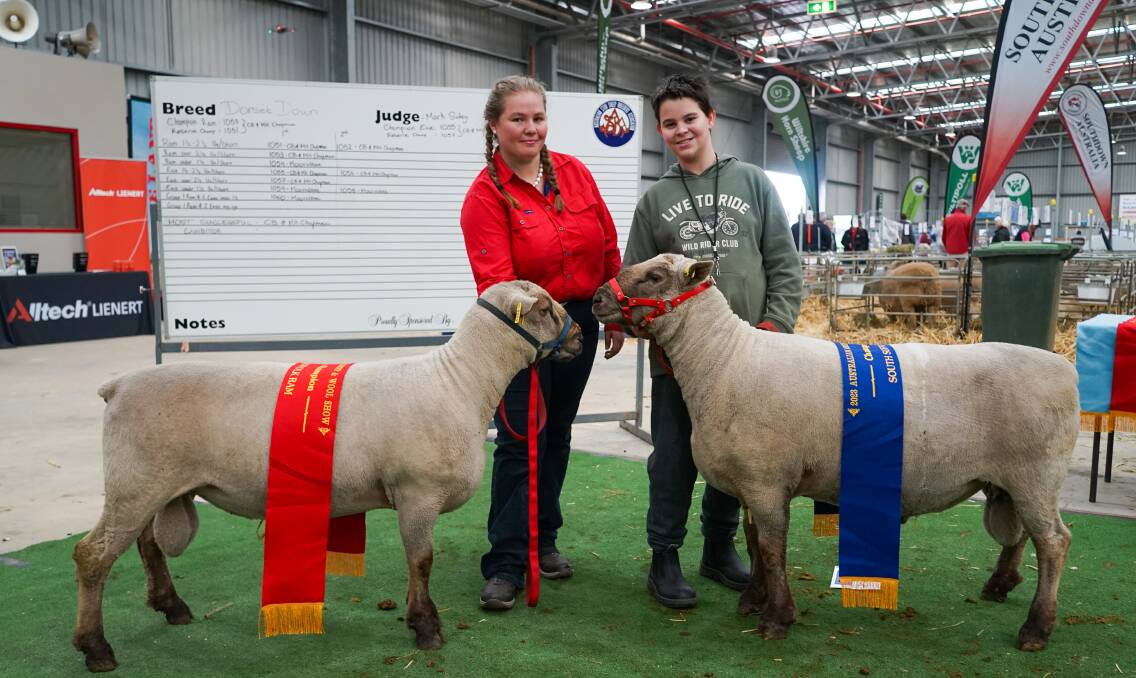 Willow Drive South Suffolk has taken out grand champion ram and ewe in the South Suffolk exhibition at the Australian Sheep & Wool Show. Picture by Rachel Simmonds
