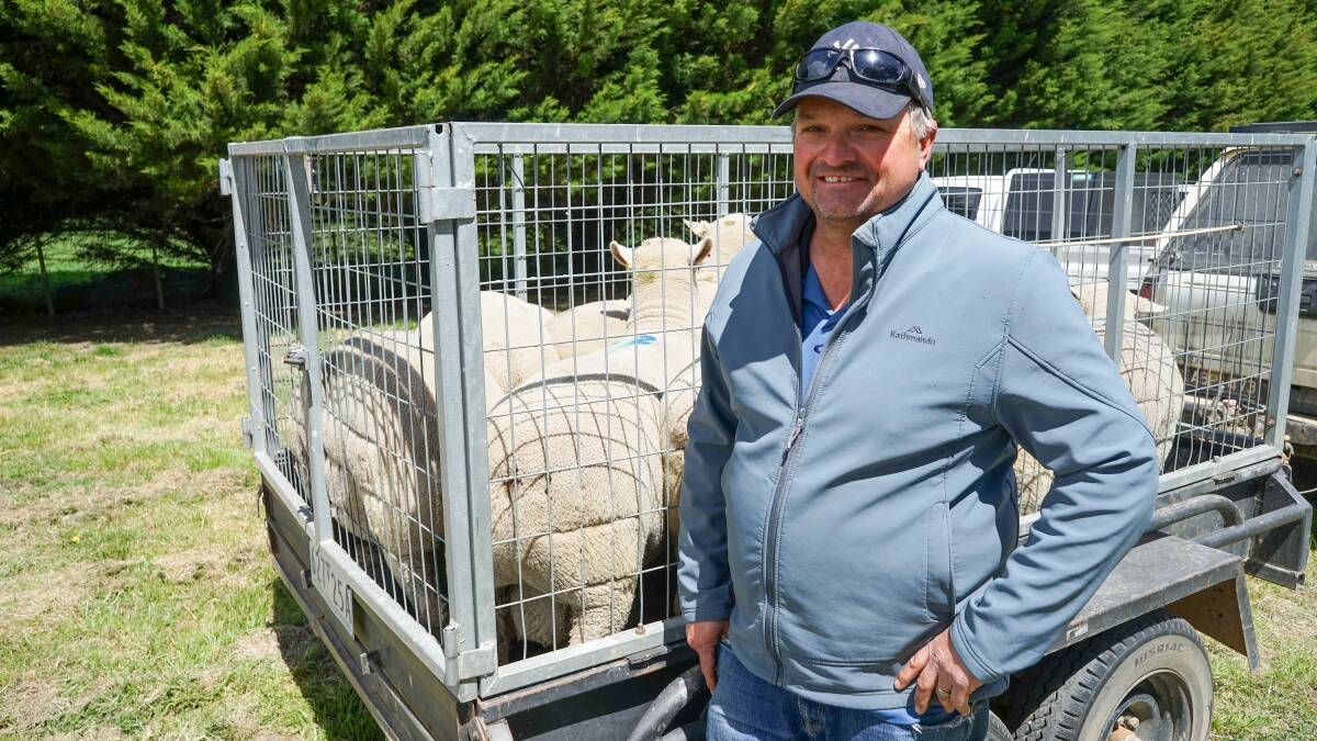Volume buyer Shaun Cattanach, Campbells Forest, bought 10 Southdown rams from the Chandpara Southdown annual sale. Picture by Rachel Simmonds
