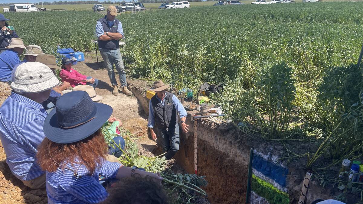 About 15 farmers have attended a VicNoTill Soils in All Seasons workshop at Kaniva and Neuarpurr. Picture by Rachel Simmonds