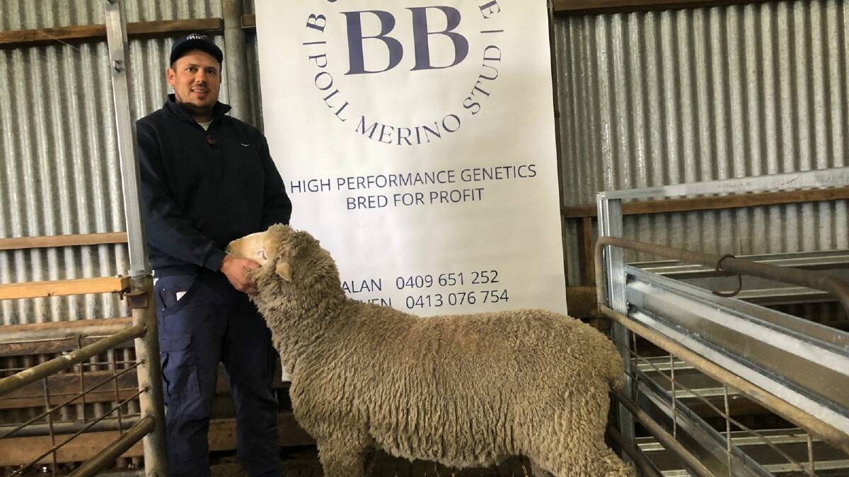 Burnbrae Poll Merino stud principal Steven Wishart, Inverleigh, with the top-priced ram at his spring sale. Picture supplied