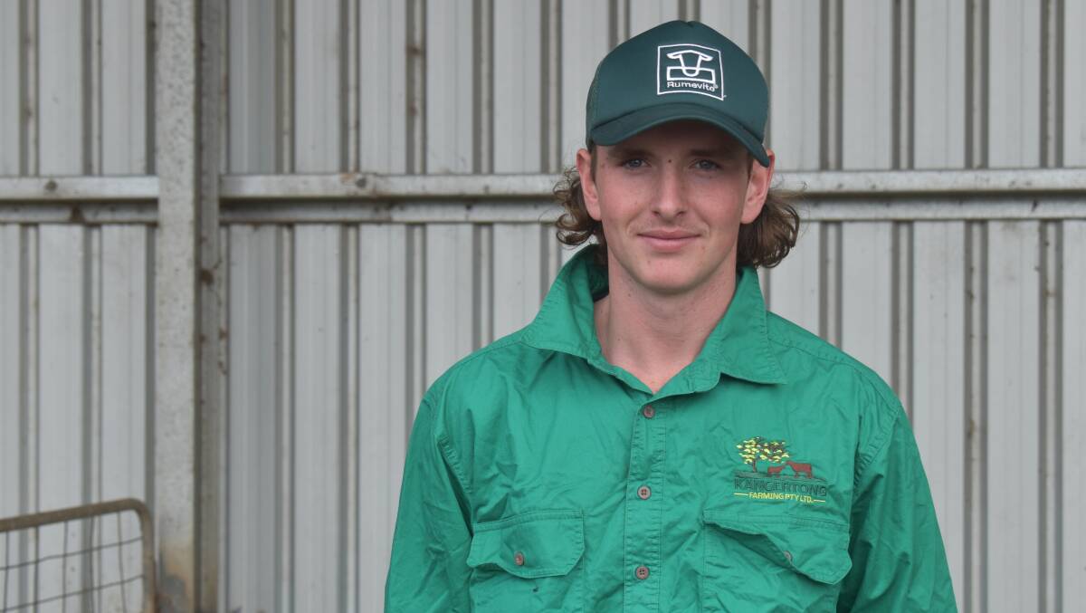 Koroit teenager Noah Billings is pursuing a career in dairy after sparking an interest three years ago. Picture supplied