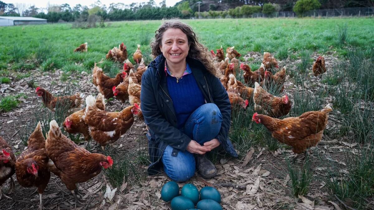 Linda Larkins, Somerville Egg Farm, says they hope to expand their free-range flock. Picture by Rachel Simmonds