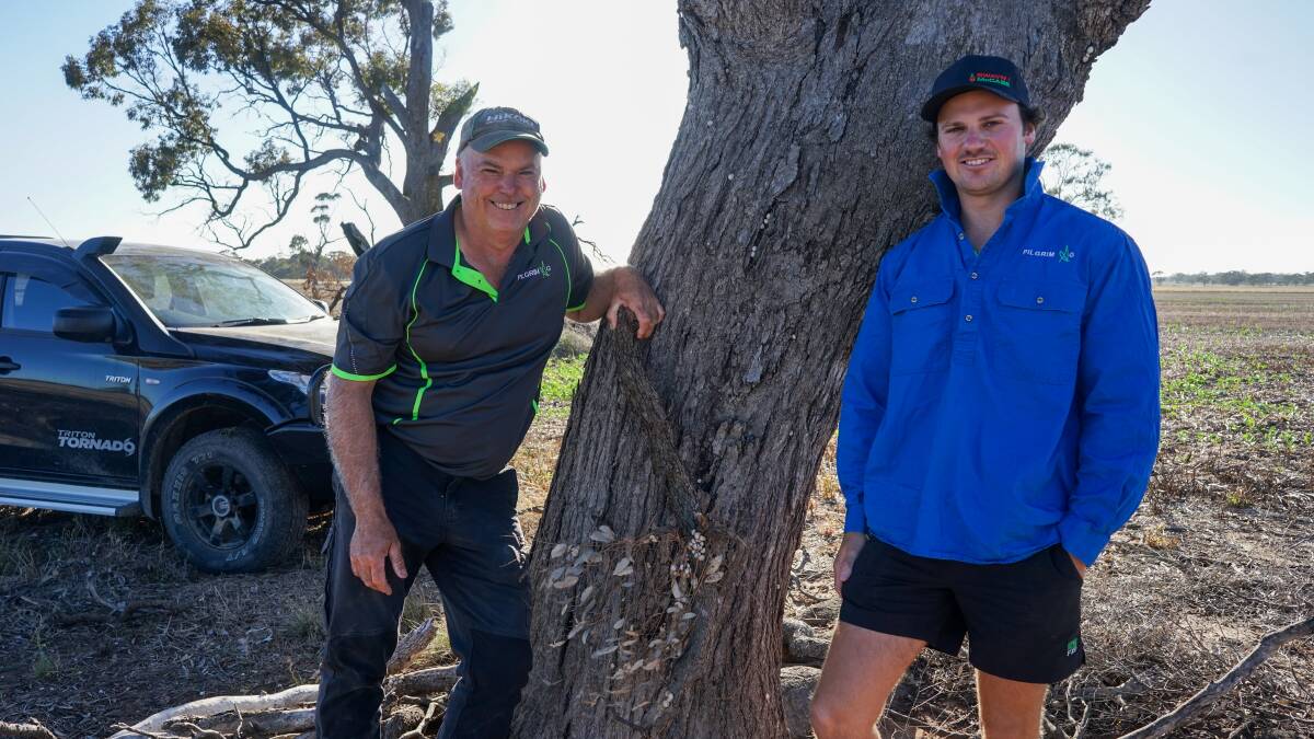 Farmers Steve Pilgrim and Ben Pilgrim, Nhill, are calling on their local council to allow roadside burns to help control the white snail population, pictured. Picture by Rachel Simmonds