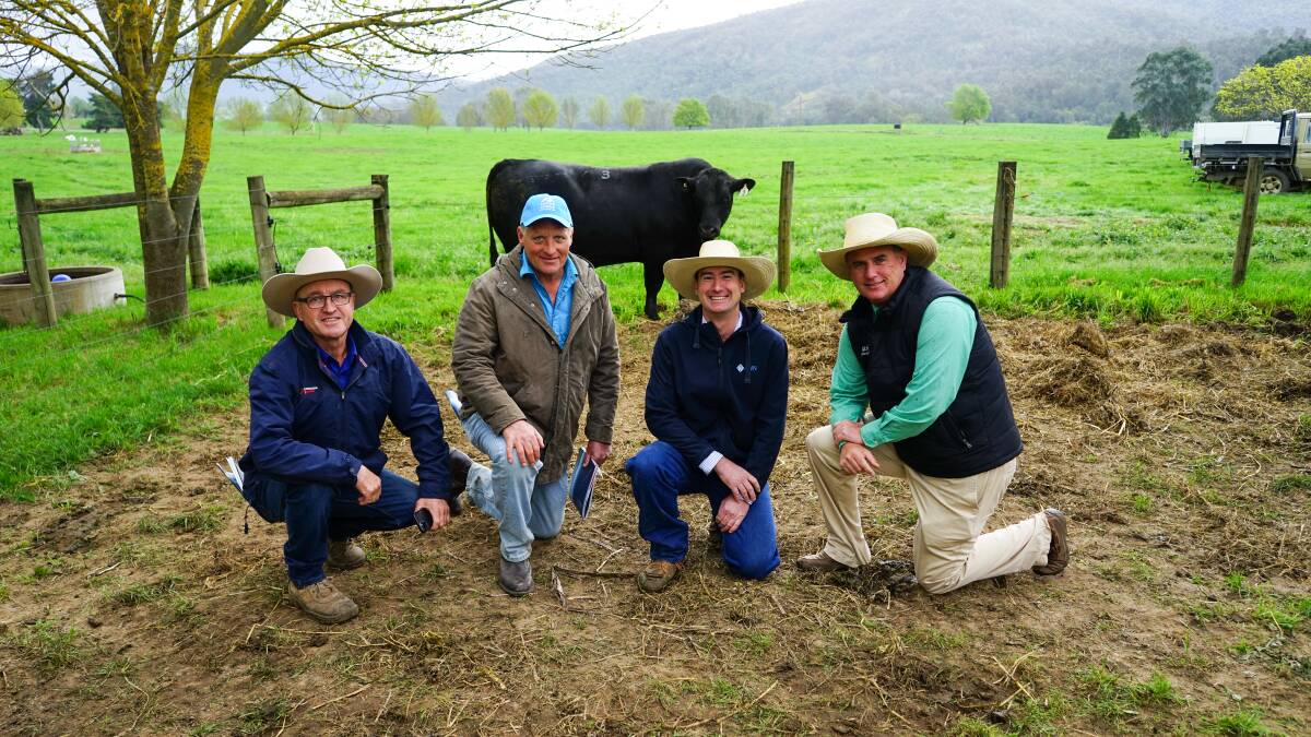 David Meehan, Corcoran Parker, Chris Oswin, Alpine Angus, Andrew McIntyre, AWN, and Peter Godbolt, Nutrien, with one of the three top-priced lots at Alpine Angus's spring sale. Picture by Rachel Simmonds