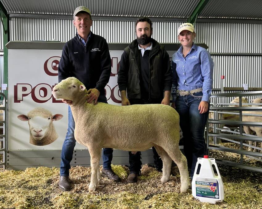 Glenore Poll Dorset stud principal Peter Cain, Lachlan Bailey, Derby Downs Poll Dorset, and Charlotte Cain, Glenore Poll Dorset, Carisbrook, with the top-priced ram. Picture supplied