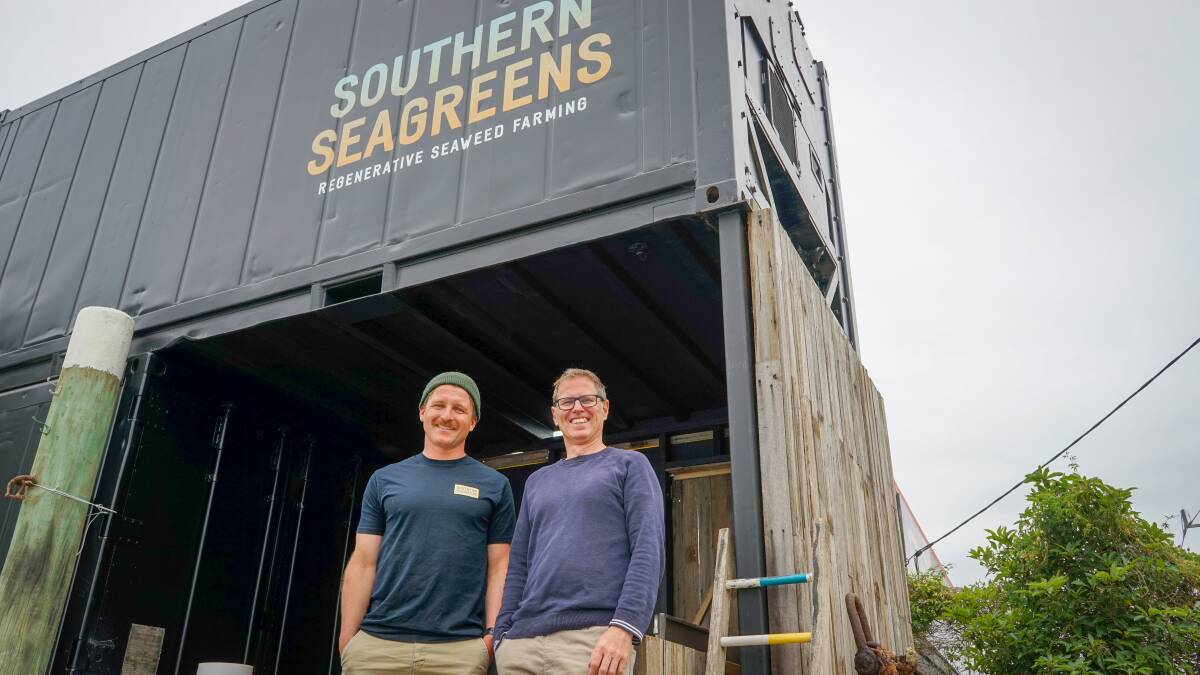 Brent "Bert" Cross and Cam Hines are two-thirds of a commercial kelp farm, off the coast of Flinders. Picture by Rachel Simmonds