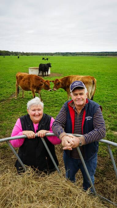 Janine and Alan Carson will farewell the last of their Cairnbrae Jersey dairy herd on June 21 at a dispersal sale. Picture by Rachel Simmonds