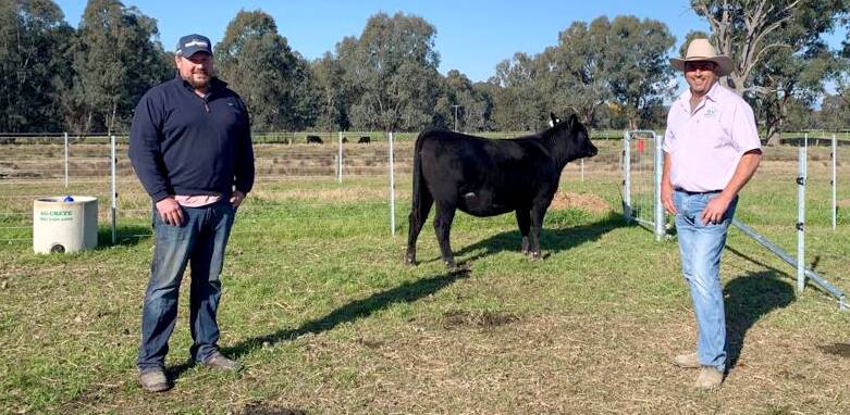 Brenton Sessions, Bellaspur Angus, and Ian Bates, Riddellvue Angus, with the top-priced female, Lot 5, Riddellvue Lowan S116. Picture supplied